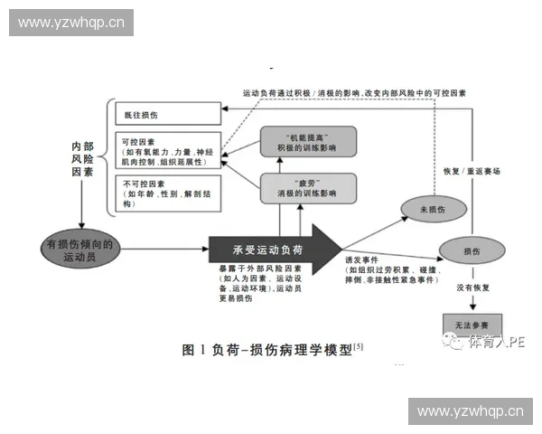 体育品牌授权监控体系构建与市场风险防控策略与实践研究