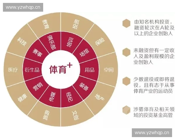 打造专业体育加盟平台助力创业者实现高效盈利新模式